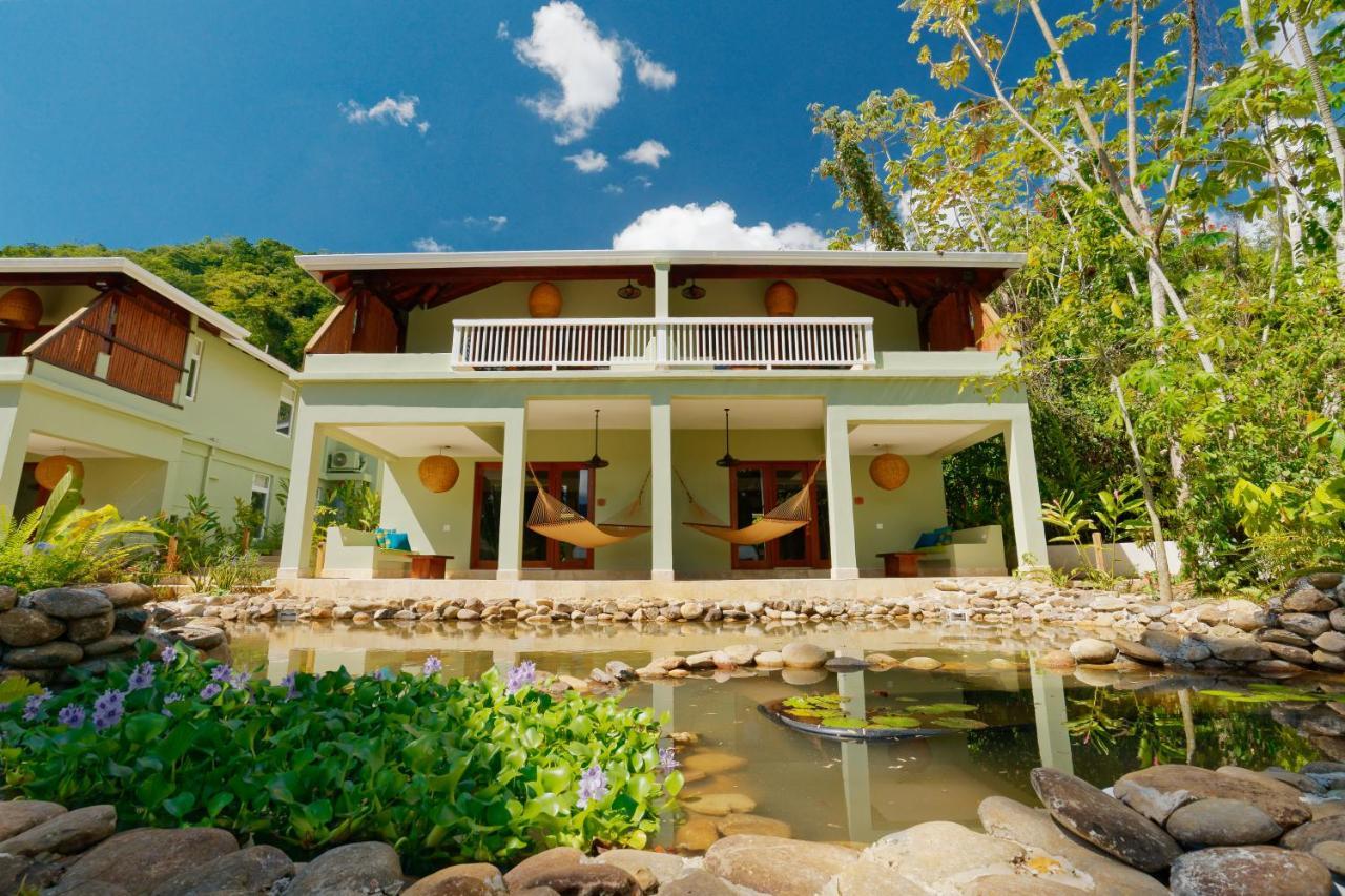 Sleeping Giant Rainforest Lodge Μπελμοπάν Εξωτερικό φωτογραφία