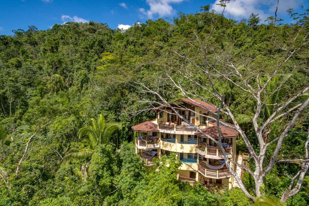 Sleeping Giant Rainforest Lodge Μπελμοπάν Εξωτερικό φωτογραφία
