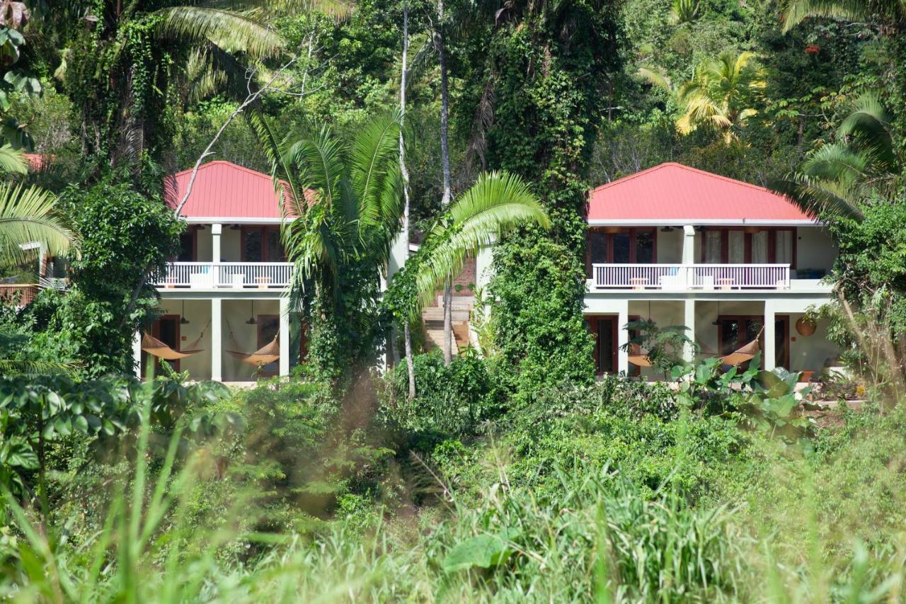 Sleeping Giant Rainforest Lodge Μπελμοπάν Εξωτερικό φωτογραφία