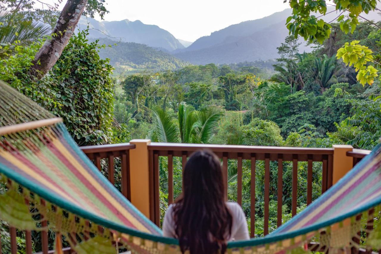 Sleeping Giant Rainforest Lodge Μπελμοπάν Εξωτερικό φωτογραφία